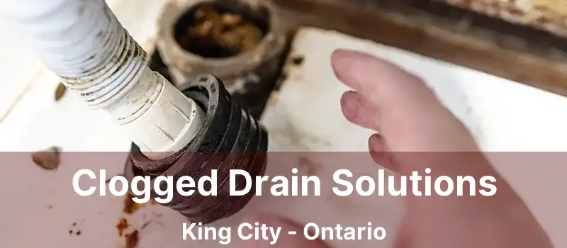  Clogged Drain Solutions King City - Ontario