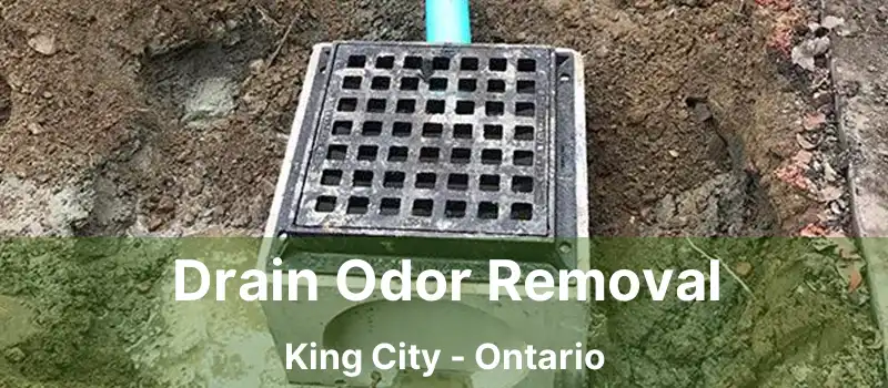  Drain Odor Removal King City - Ontario